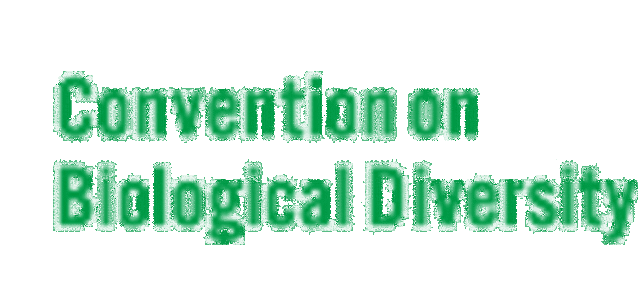 Cumbre de la Tierra en Río de Janeiro