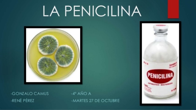 Penicilina