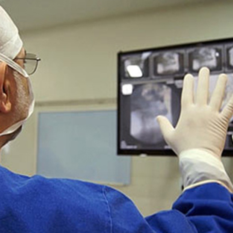 Reconocimiento de gestos