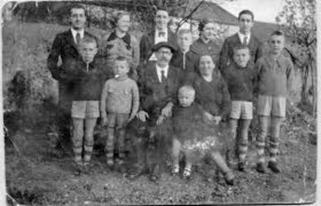 Consejos Consultivos