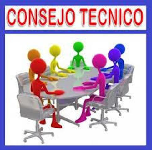 Consejos Institucionales