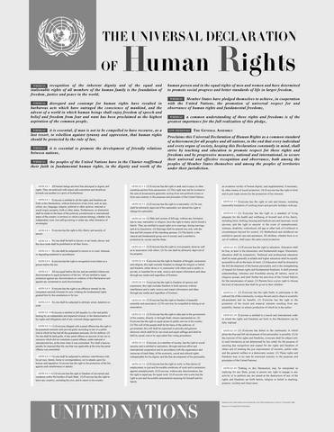 Declaracion universal de los derechos humanos.