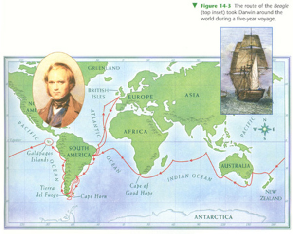 Empieza su aventura en el Beagle