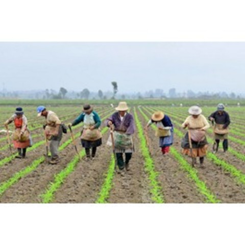 Desarrollo Territorial