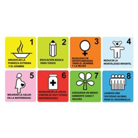 Objetivos de Desarrollo del Milenio