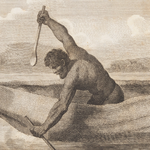 Pemulwuy Is proving to be difficult to defeat