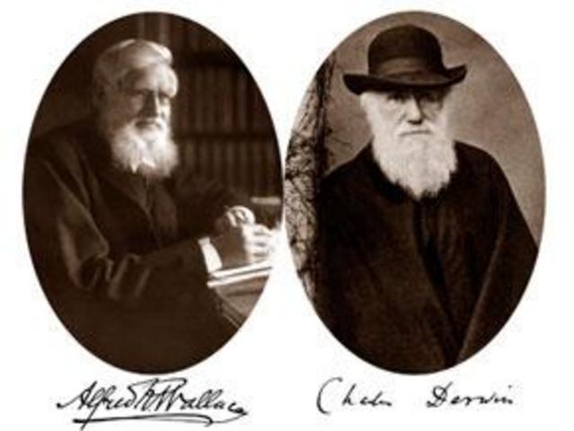 Presentacion seleccion natural