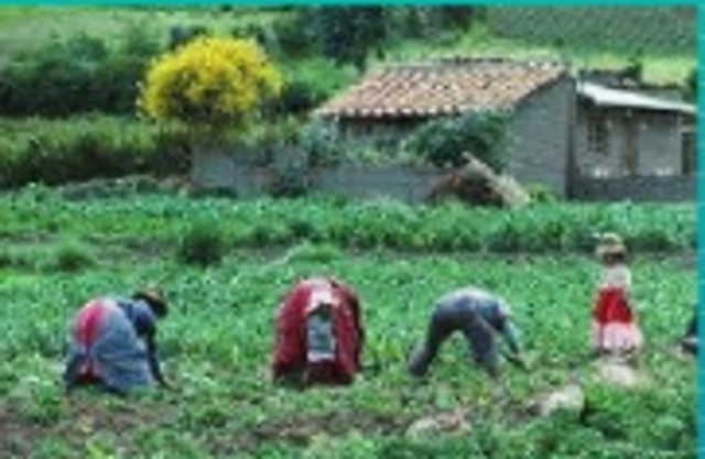 Formacion profesional campesina