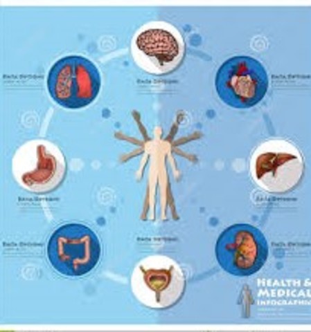 Estructuración científica de la Antropometría