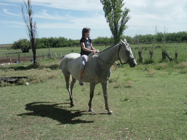 Vacaciones de verano de 2013