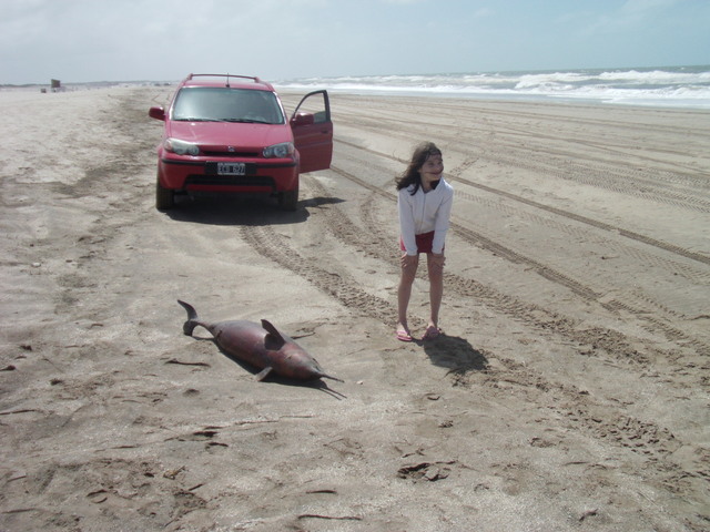 Vacaciones de verano de 2012