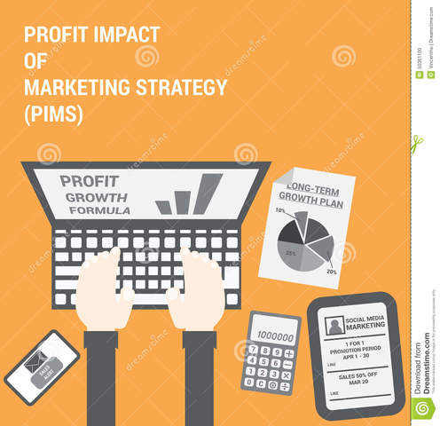 DECADA 1970 SE CREO PROFIT IMPACT OF MARKET STRATEGY (PYMS)