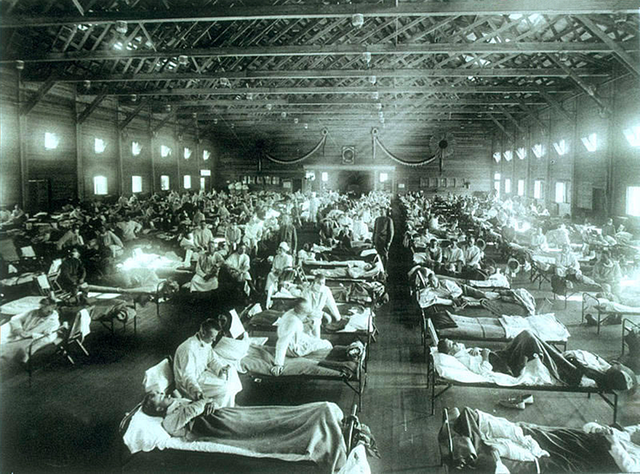 Spanish Flu