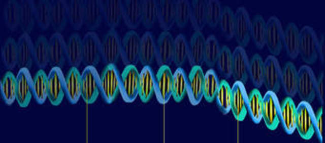 Descubrimiento de Mendel