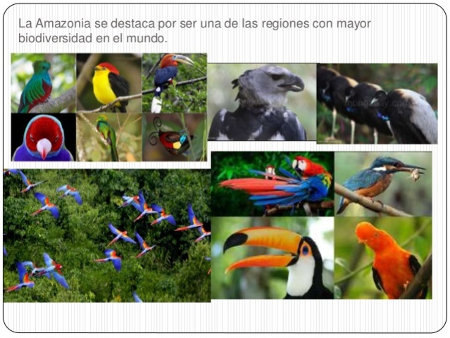 Concepto de ecosistema