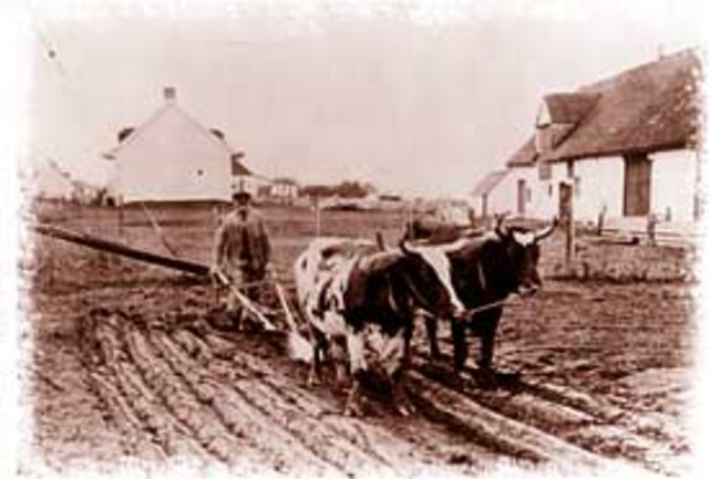 heavy iron plow/steel plow