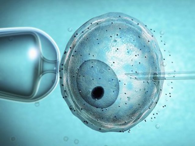 El primer ADN in vitro