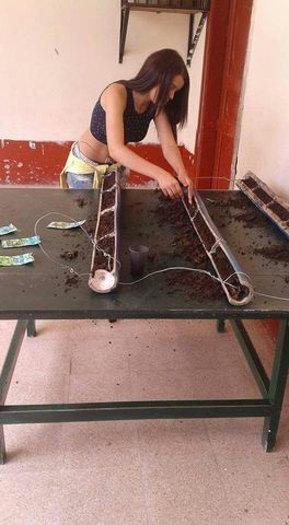 Inicio del Proyecto Pedagógico Productivo