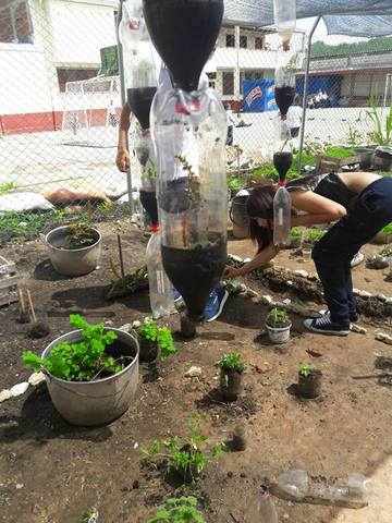 Enmallado de la zona del vivero