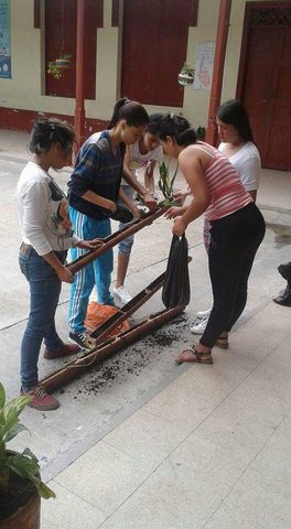 Mantenimiento y resembrado