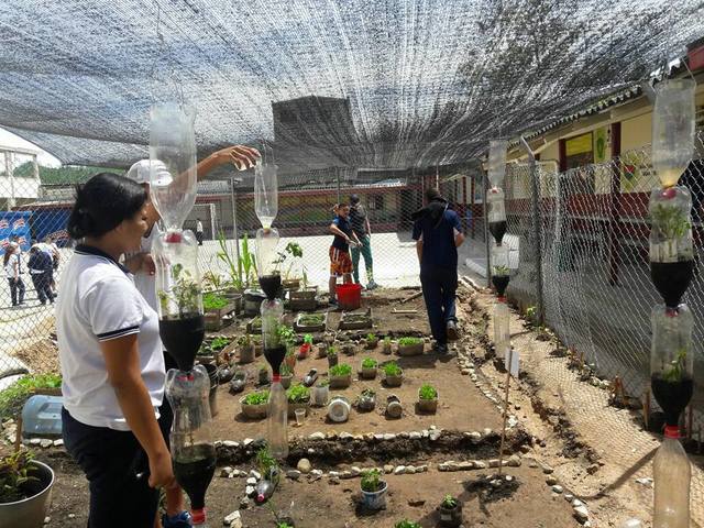 Cuidado y Mantenimiento