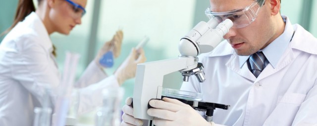 Primeras directrices para investigación en humanos.