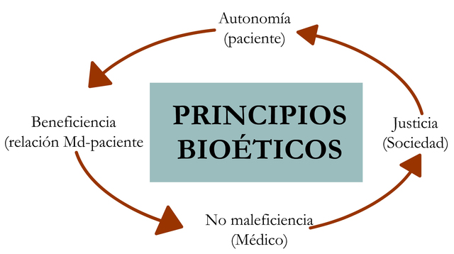 Los cuatro pilares de la Bioética