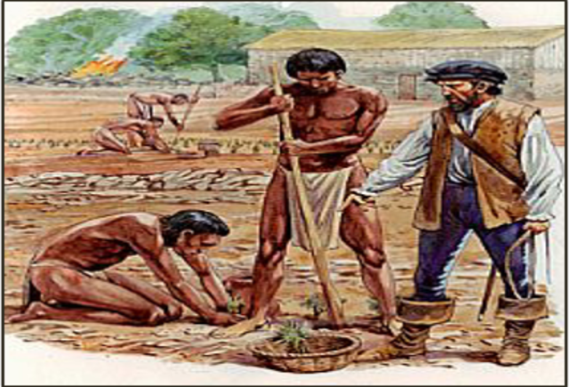 LEY PARA LOS INDIGENAS- SALUD OCUPACIONAL COLOMBIA