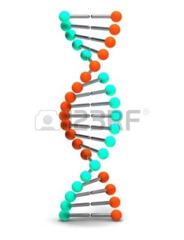Descubrimiento Del Trabajo Del ADN Independiente