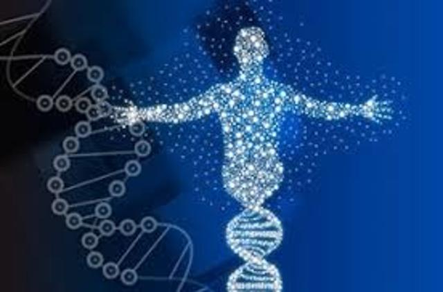 Nuevo Proyecto Sobre Genoma Humano.