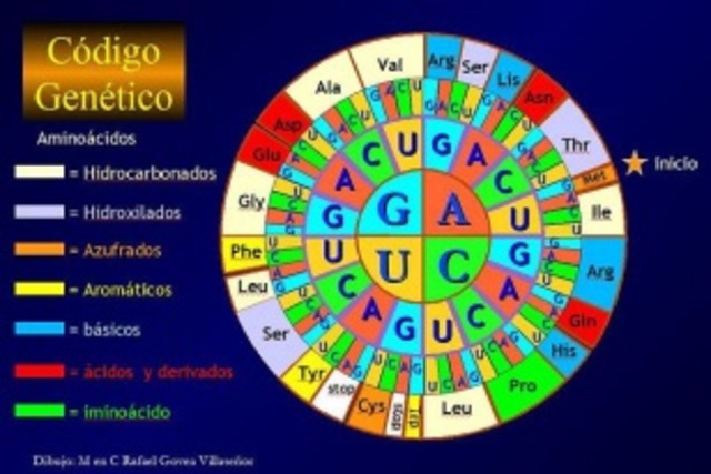 El código genético