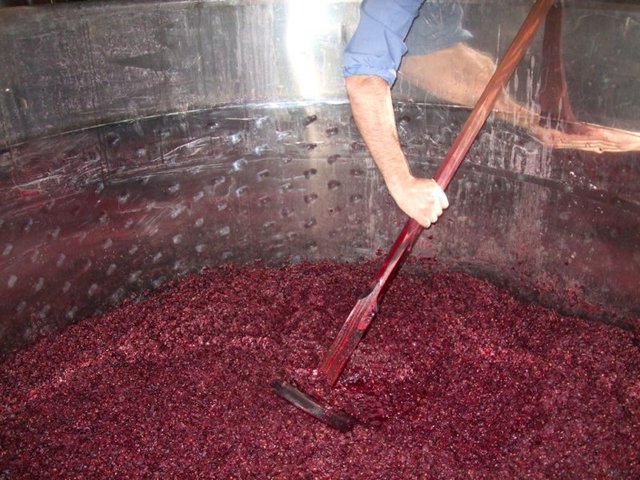 8000 a. C.  Proceso de fermentación.