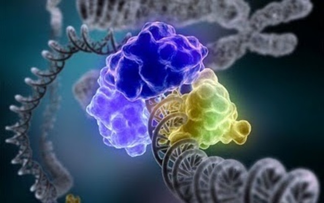 Reparación del ADN.