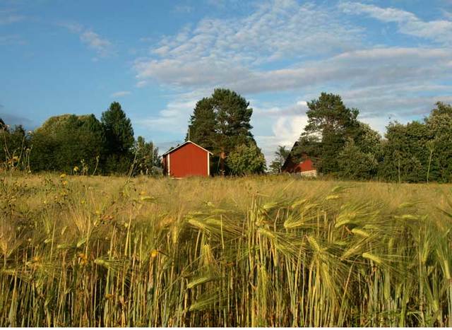 El proceso Haber – Bosch, o cómo se inventó el amoníaco