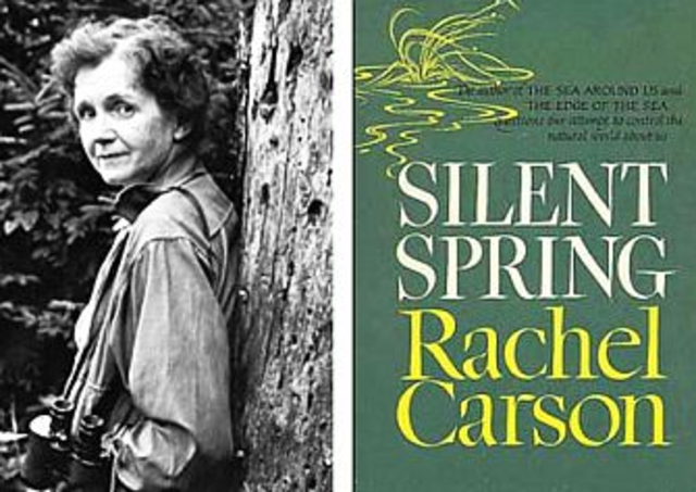 1960’s: Modern Environmental Movement is born