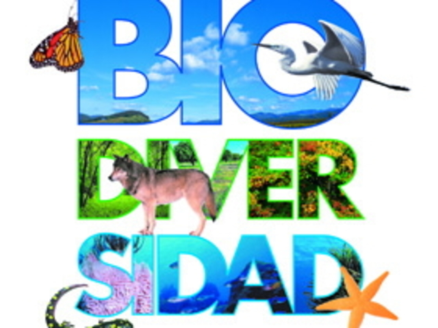 Resolución 0118 de 2005