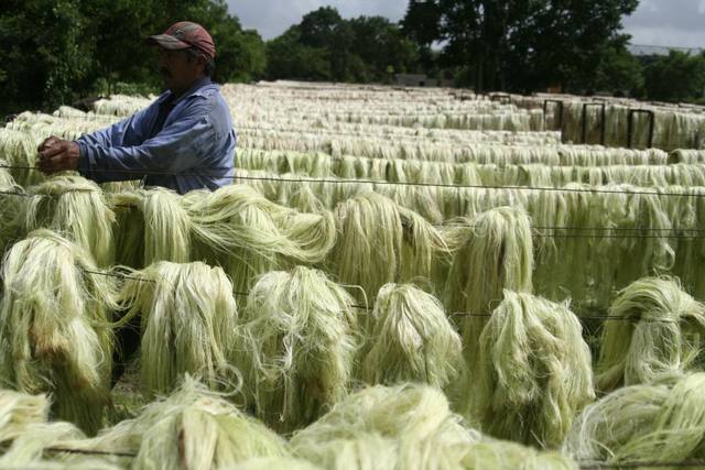 Periodo de la segunda guerra mundial