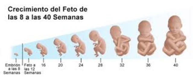 Prenatal