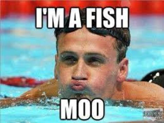 Started swimming...again