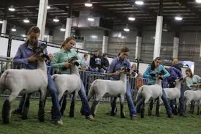 The American Royal Livestock