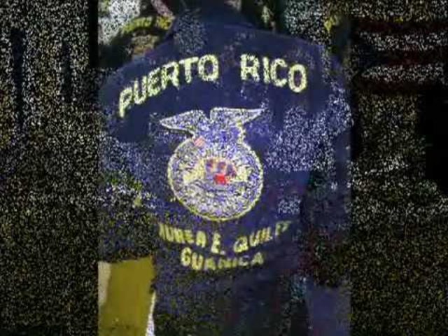 Puerto Rico FFA Association