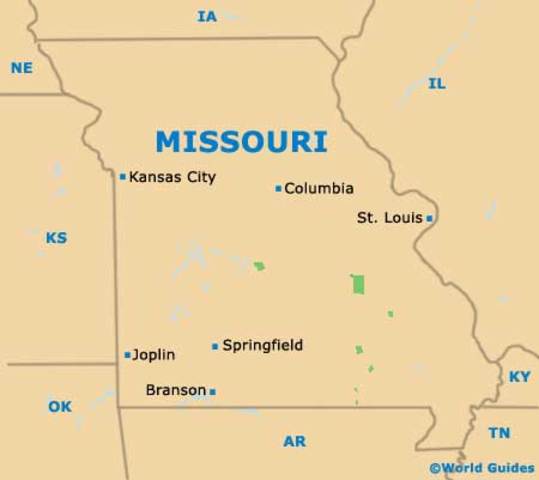 students participate in livestock judging