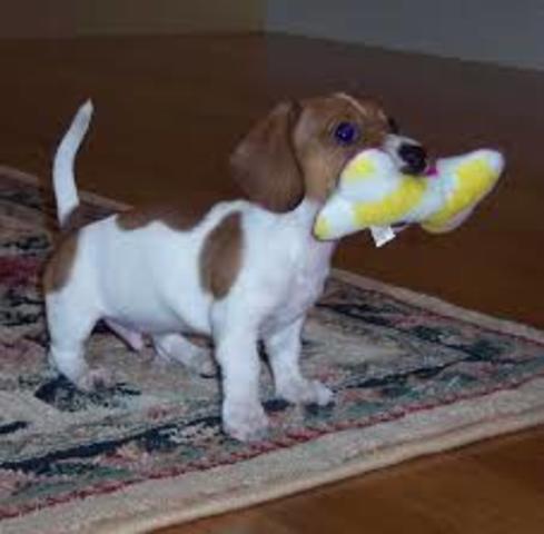 Family expansion pt. 2