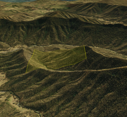 Killing at Mt Haldon, Darling Downs