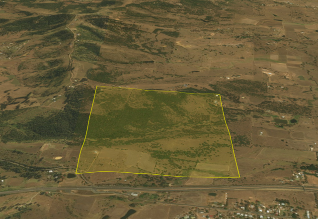 Battle of the one tree hill