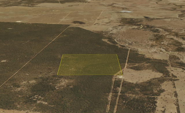 Revenge killings at Umbercollie Station