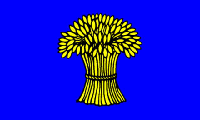 National blue and corn gold adopted as official colors