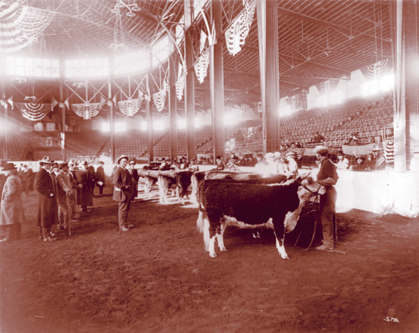 The American Royal Livestock Show