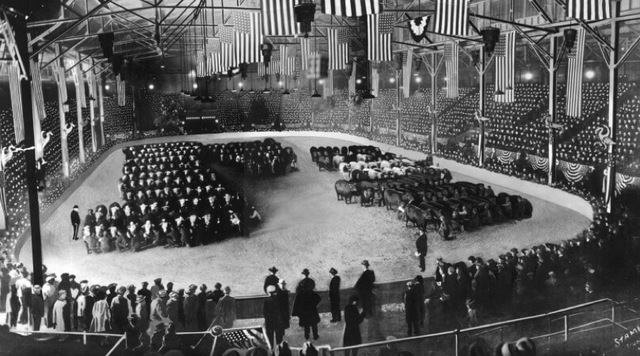 The American Royal Livestock Show