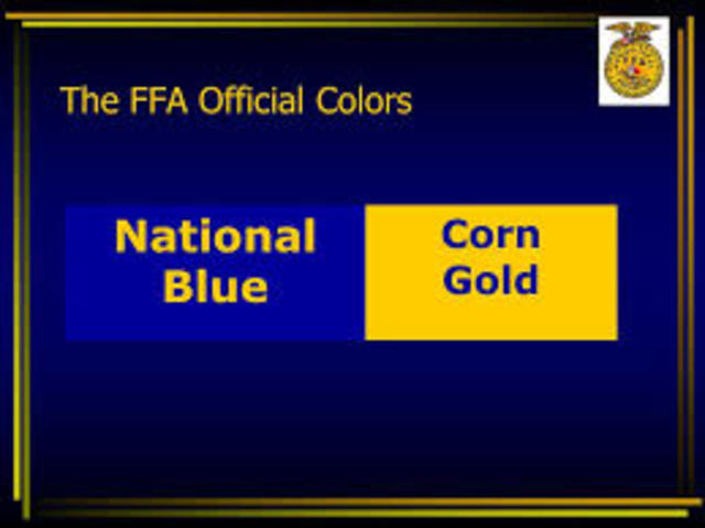 National Blue and Corn Gold adopted as official colors